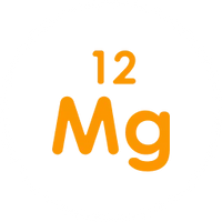MAGNESSIUM