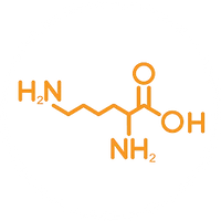 L-LYSINE